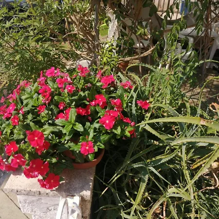 Villino Da Maria بيت للعطل